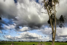 一图看懂:《2024中国路跑工作报呍.